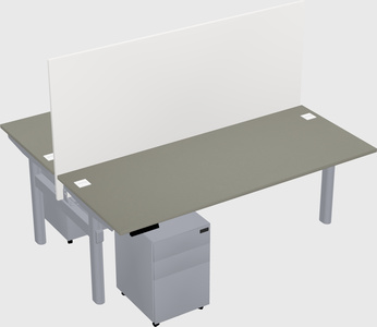 Shared electric desk