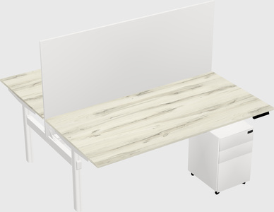 Shared electric desk