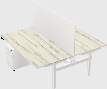 Shared electric desk
