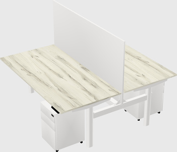 Shared electric desk