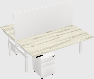 Shared electric desk