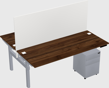 Shared electric desk