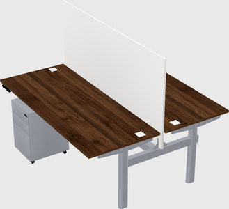 Shared electric desk