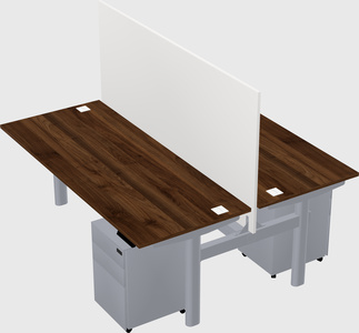 Shared electric desk