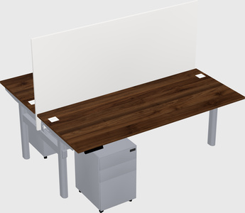 Shared electric desk