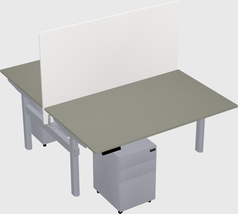 Shared electric desk
