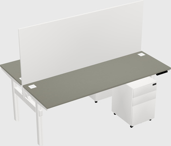 Shared electric desk