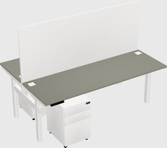 Shared electric desk
