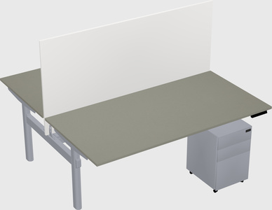 Shared electric desk