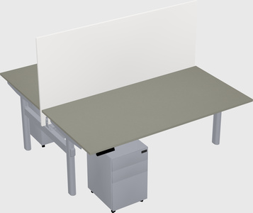 Shared electric desk