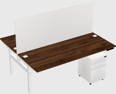 Shared electric desk
