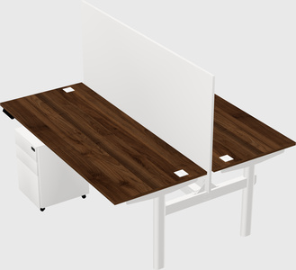 Shared electric desk