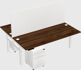 Shared electric desk