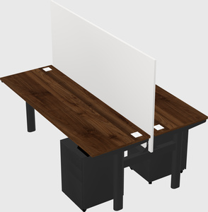 Shared electric desk