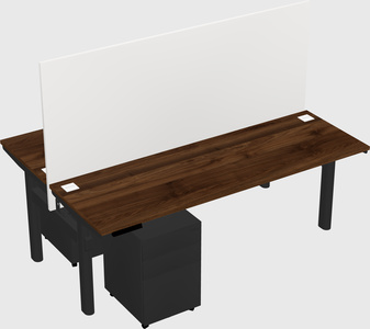Shared electric desk