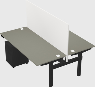 Shared electric desk