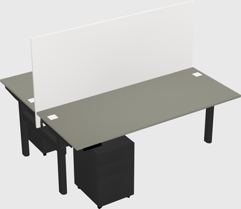 Shared electric desk