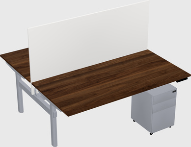 Shared electric desk