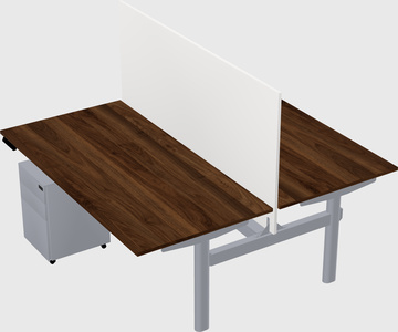 Shared electric desk