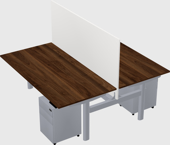Shared electric desk
