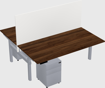 Shared electric desk