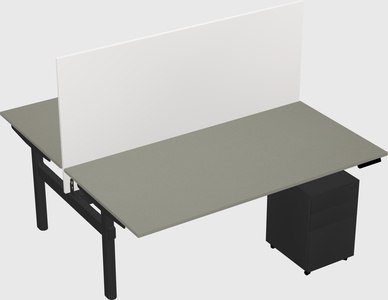 Shared electric desk