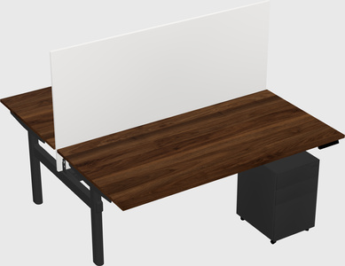 Shared electric desk