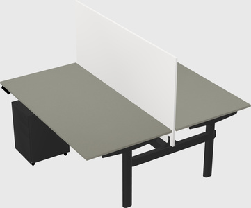 Shared electric desk