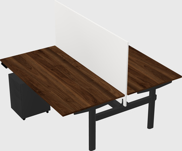 Shared electric desk