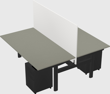 Shared electric desk