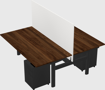 Shared electric desk