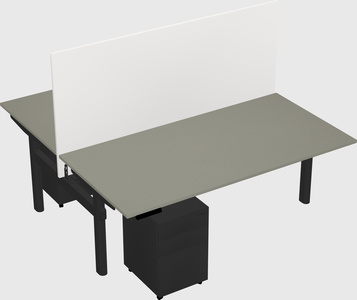 Shared electric desk