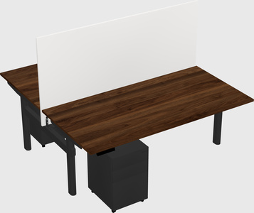Shared electric desk