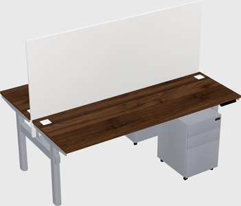 Shared electric desk