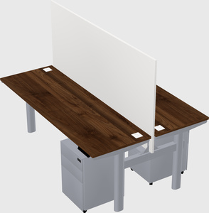 Shared electric desk