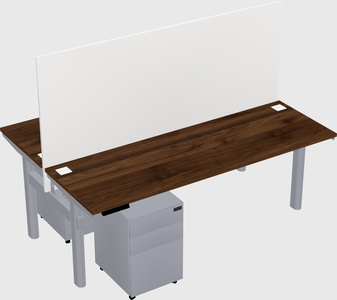 Shared electric desk