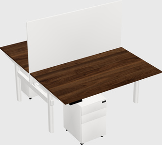 Shared electric desk