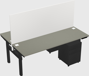 Shared electric desk