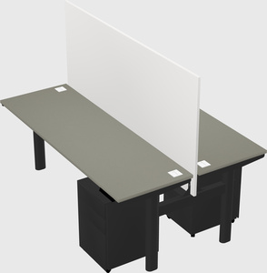 Shared electric desk