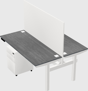 Shared electric desk