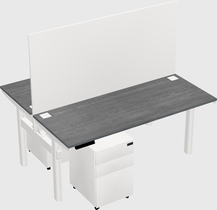 Shared electric desk