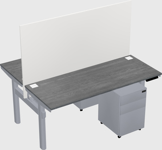 Shared electric desk