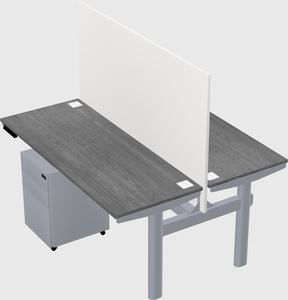 Shared electric desk