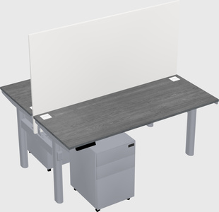 Shared electric desk
