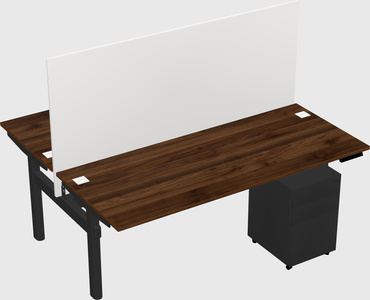 Shared electric desk