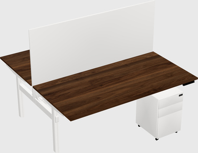 Shared electric desk