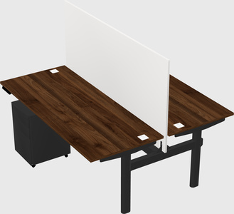 Shared electric desk