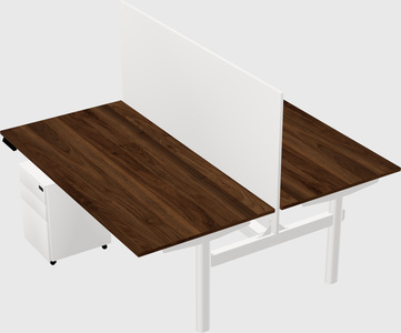 Shared electric desk