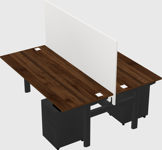 Shared electric desk