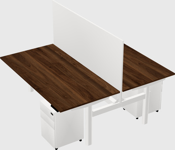 Shared electric desk